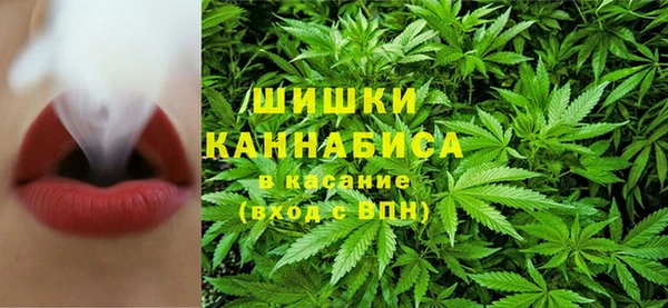 прущие крисы Алзамай