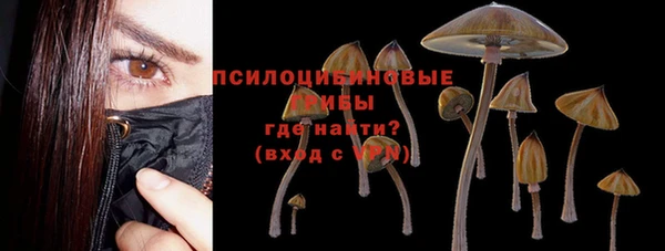 соль курить ск Алексин