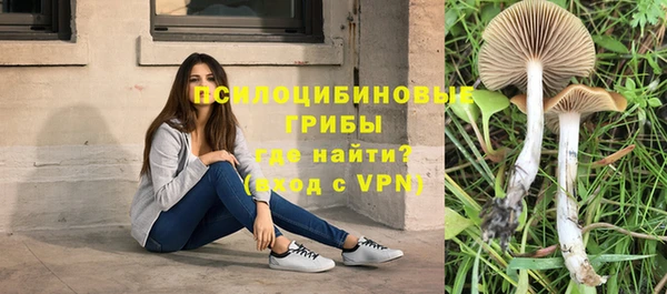 тгк Алексеевка
